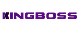 KINGBOSS