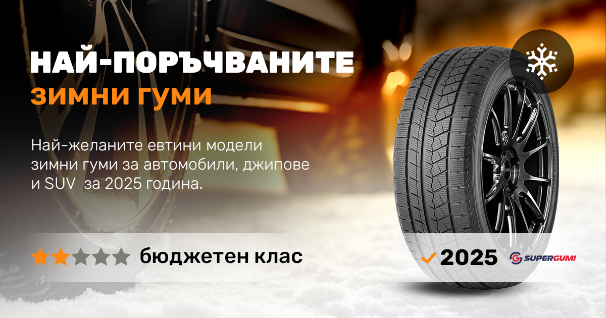 Зимни гуми бюджетен клас - статистика на продажбите през 2025 г. 