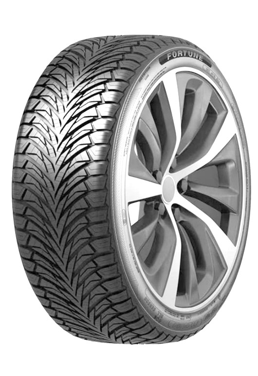 FORTUNE FSR-401