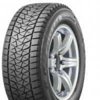 BRIDGESTONE DM-V2