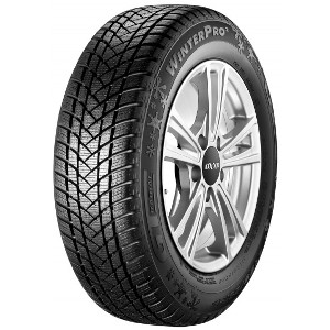 GT RADIAL WINTERPRO2 (EVO)