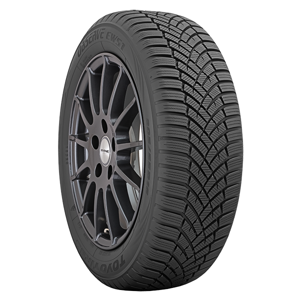 TOYO OBSERVE EWS1